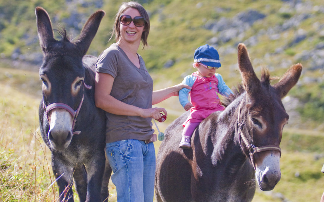 BALADE À DOS D’ÂNE OU À CHEVAL